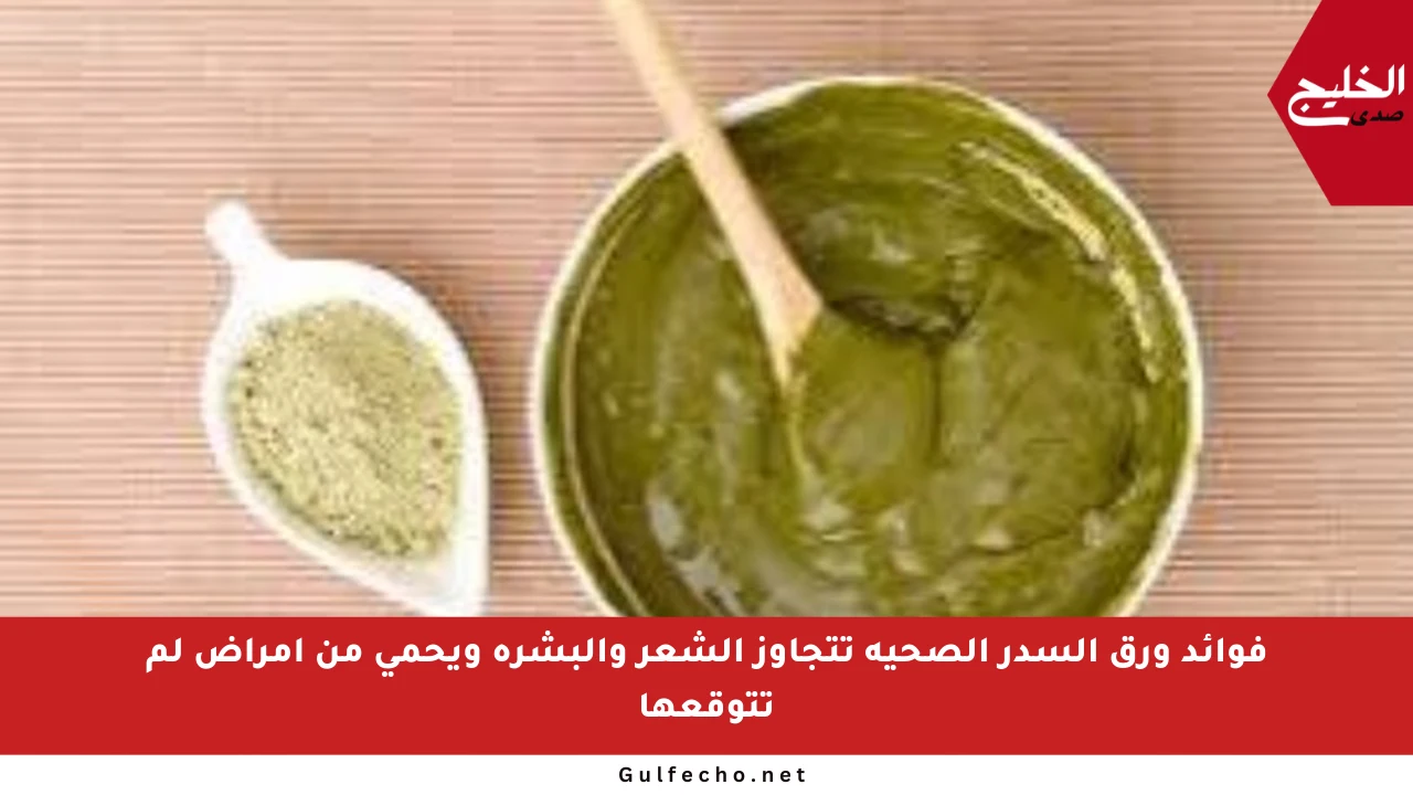 فوائد ورق السدر الصحية تتجاوز الشعر والبشرة ويحمي من أمراض لم تتوقعها